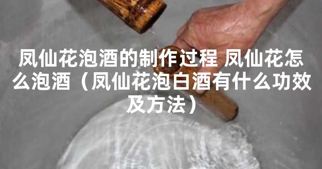 凤仙花泡酒的制作过程 凤仙花怎么泡酒（凤仙花泡白酒有什么功效及方法）